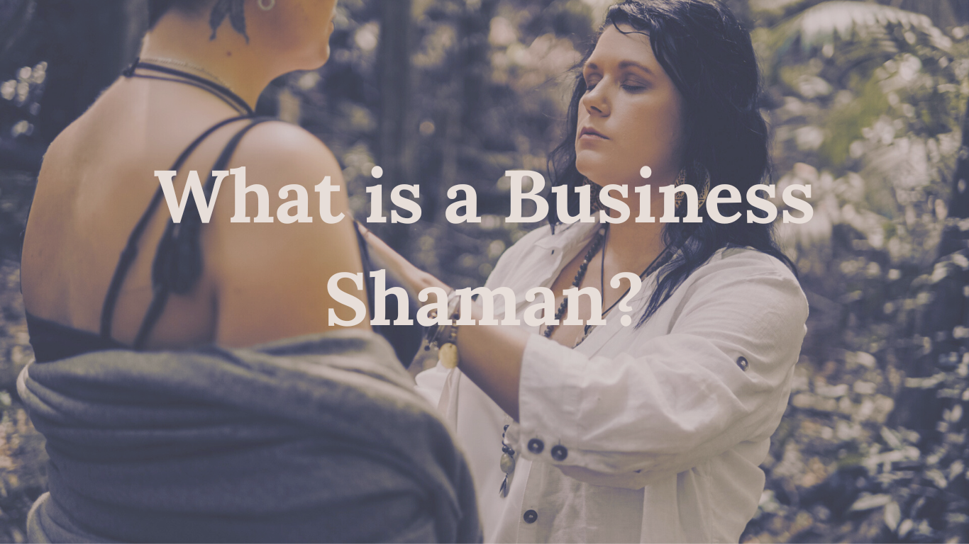 What is A Business Shaman Rebirth Your Biz